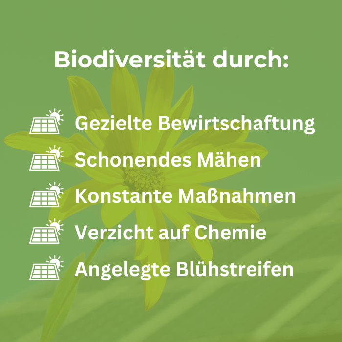 Biodiversitaet Infografik