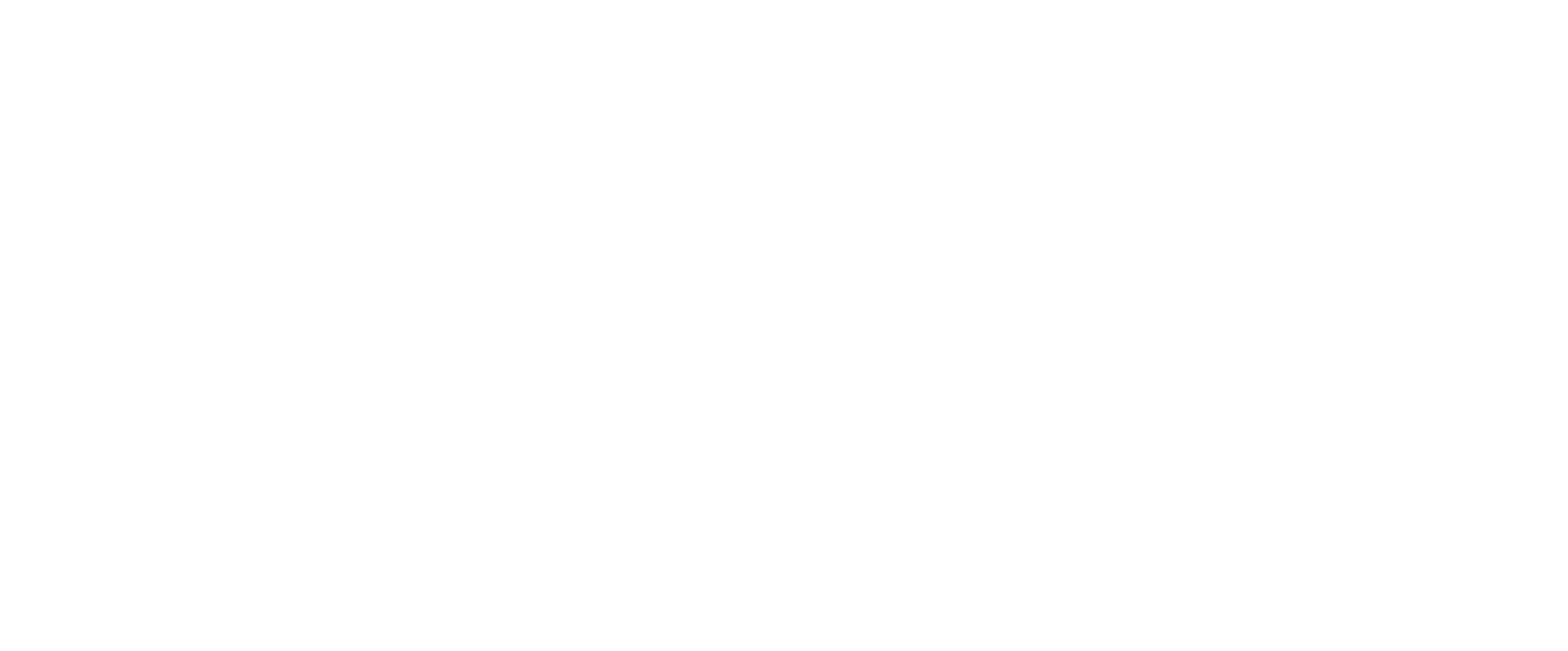 BVES Logo